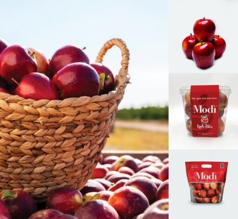 Modi-Apple Modi-Apple